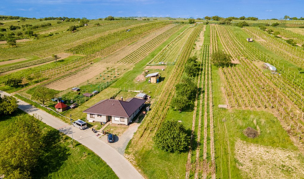 Prodej stavebního pozemku 1 528 m², Velké Pavlovice – náhled fotky 7