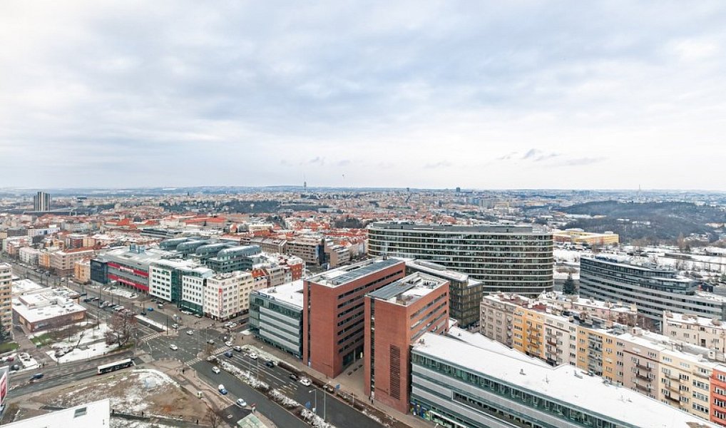 Pronájem obchodních prostor 554 m², Praha – náhled fotky 11