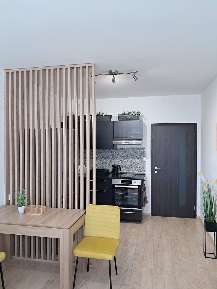 Pronájem bytu 1+kk 30 m² – fotografie 4
