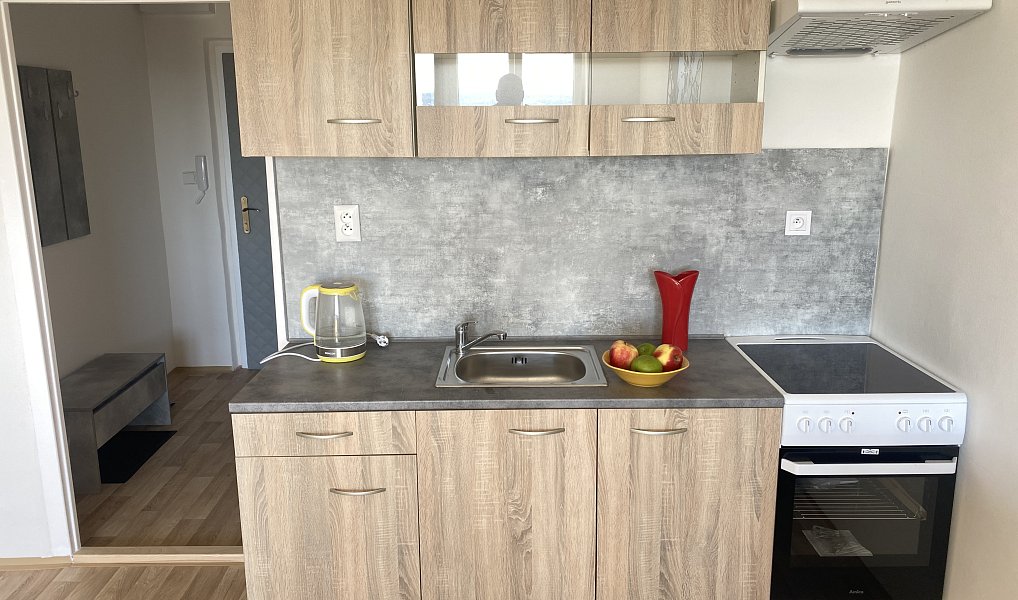 Prodej bytu 1+kk 30 m², Havířov – náhled fotky 4