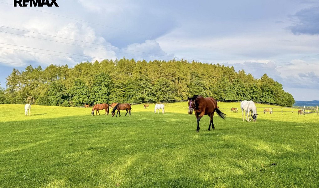 Prodej stavebního pozemku 3 331 m², Lhenice – náhled fotky 9