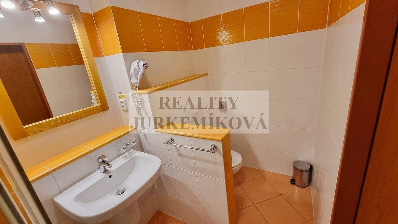 Prodej bytu 1+kk 30 m² – fotografie 5