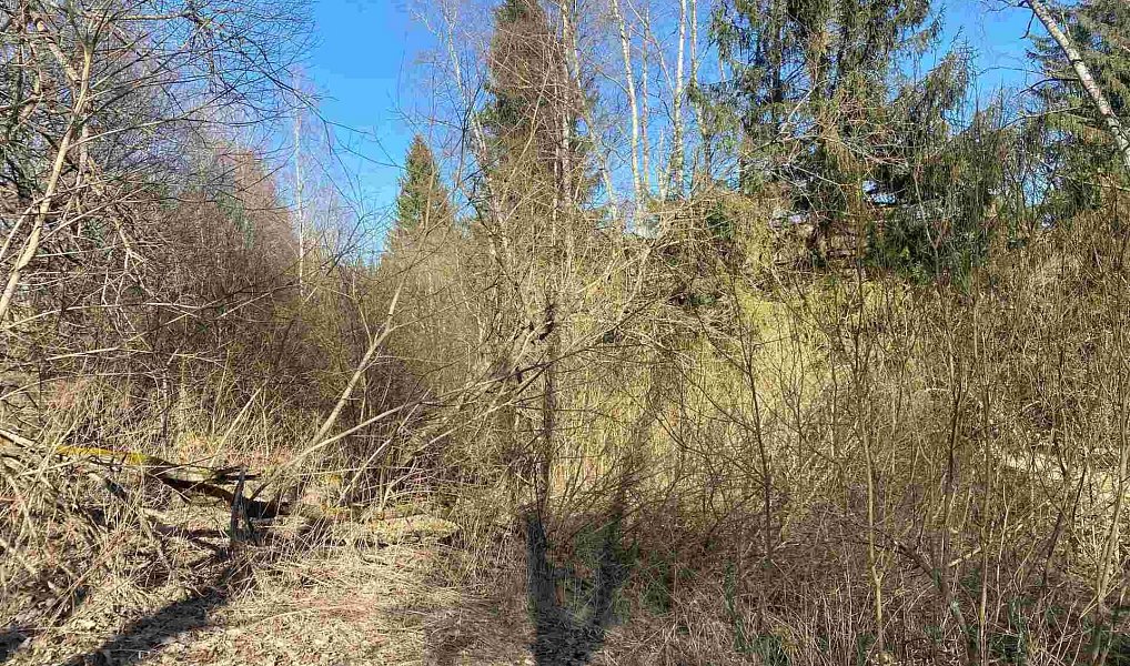 Prodej pole 10 377 m², Čachrov – náhled fotky 2