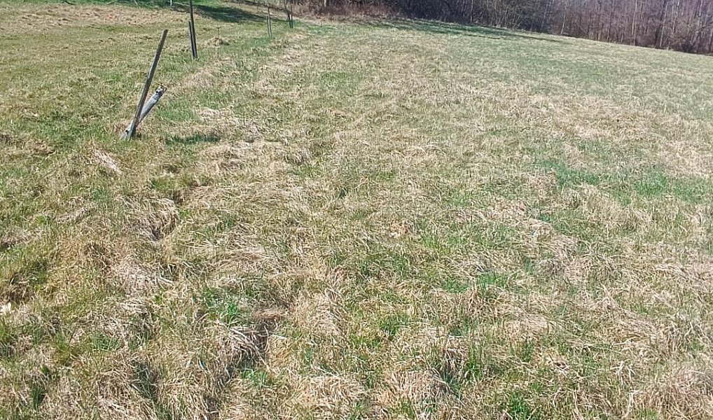 Prodej stavebního pozemku 4 280 m², Heřmanov – náhled fotky 8