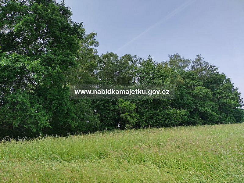 Prodej pozemku 8 754 m² – fotografie 2