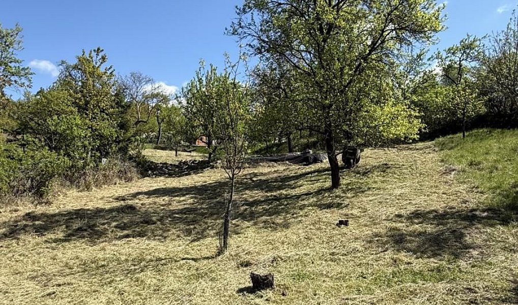 Prodej zahrady 539 m², Slavkov u Brna – náhled fotky 8