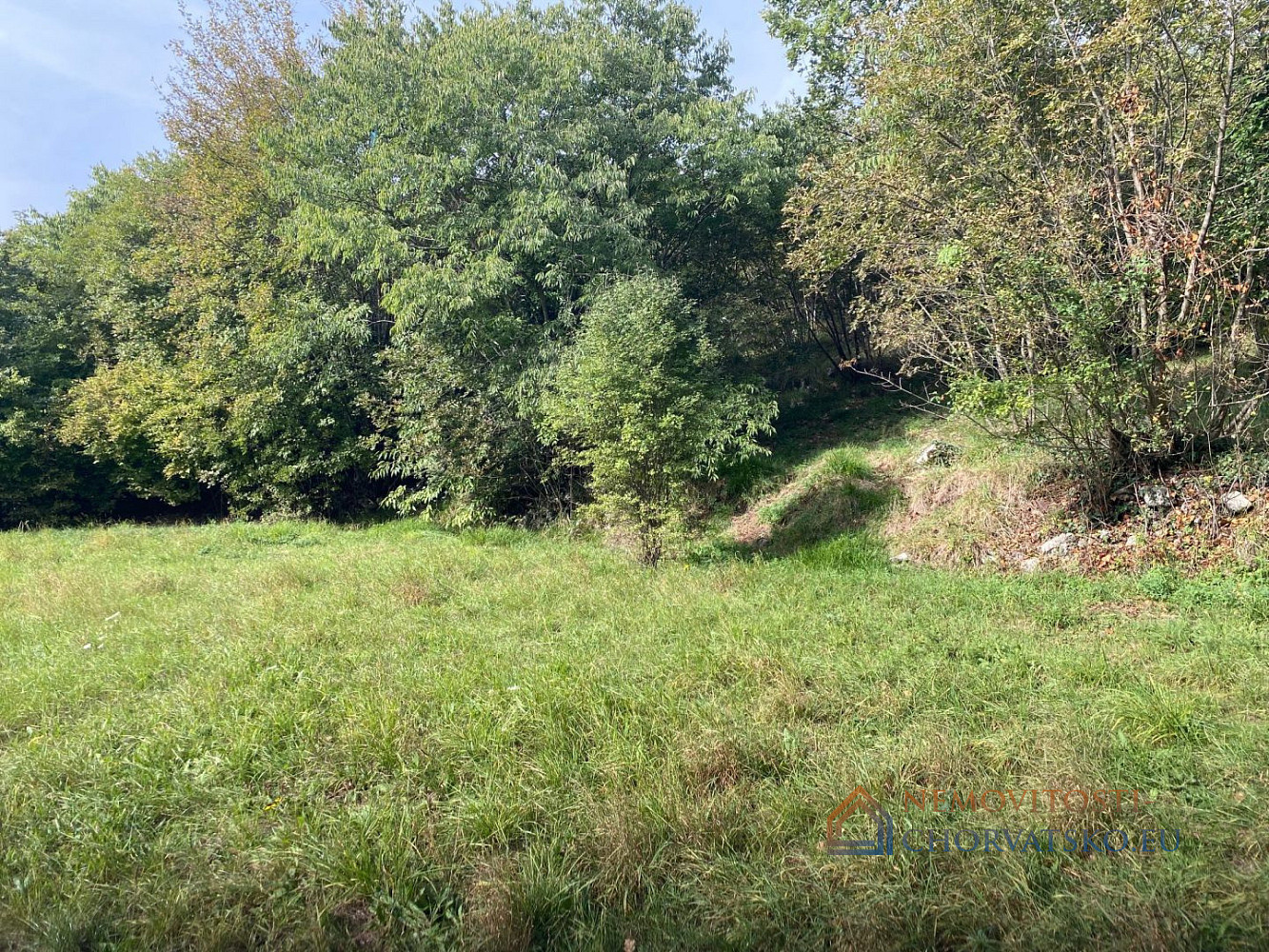 Prodej stavebního pozemku 3 470 m² - Więcej