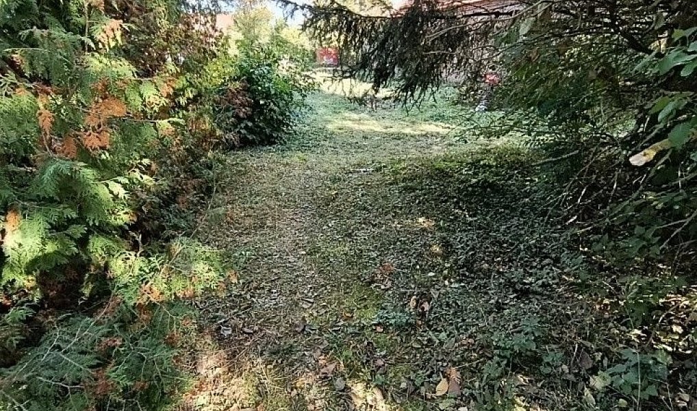 Prodej stavebního pozemku 1 232 m², Hluchov – náhled fotky 4