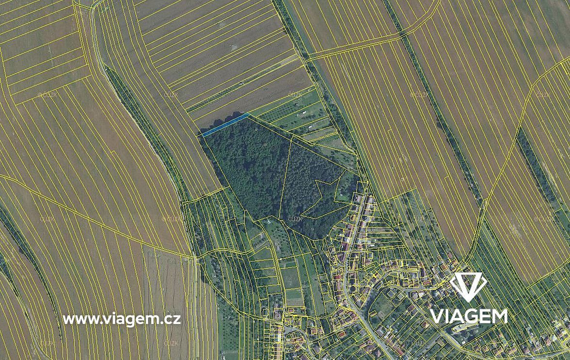Les 910 m², Podíl 33 % o výměře 303 m² – pohled 3