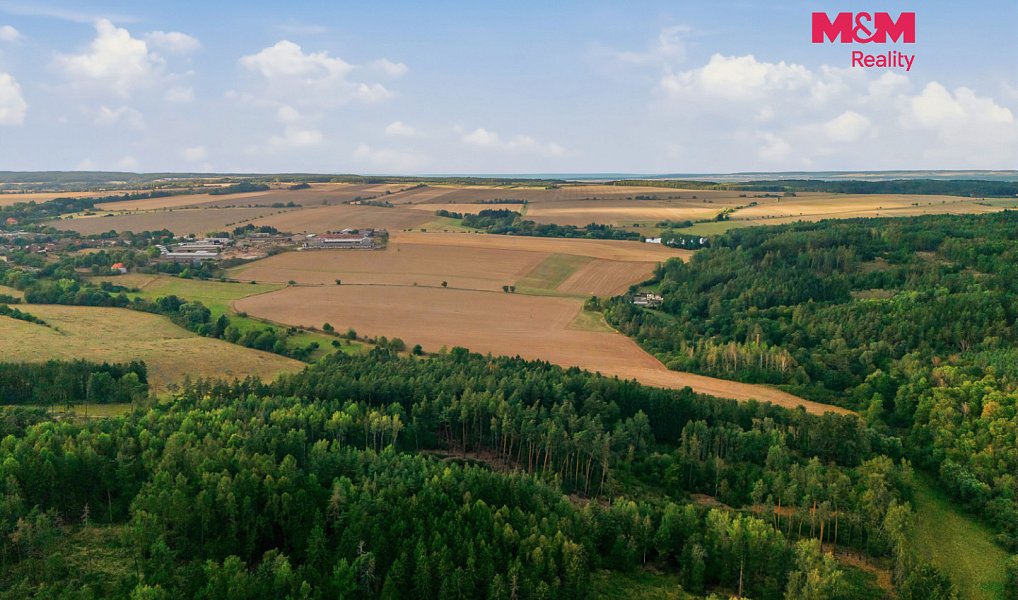 Prodej lesa 5 988 m², Břežany – náhled fotky 3