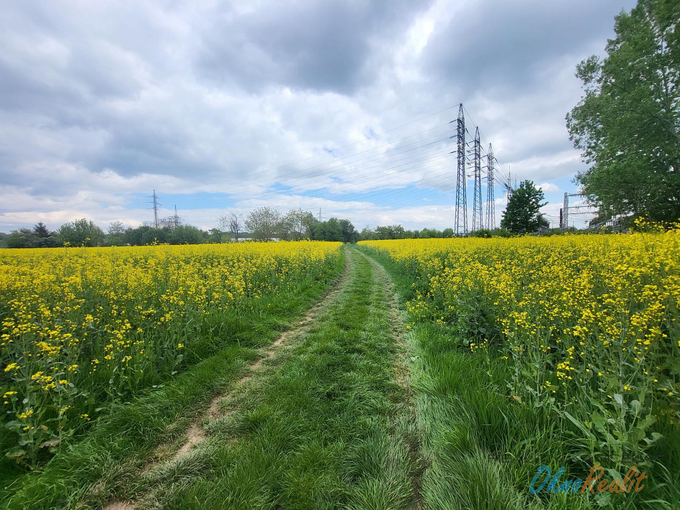 Prodej komerčního pozemku 2 784 m² – fotografie 5