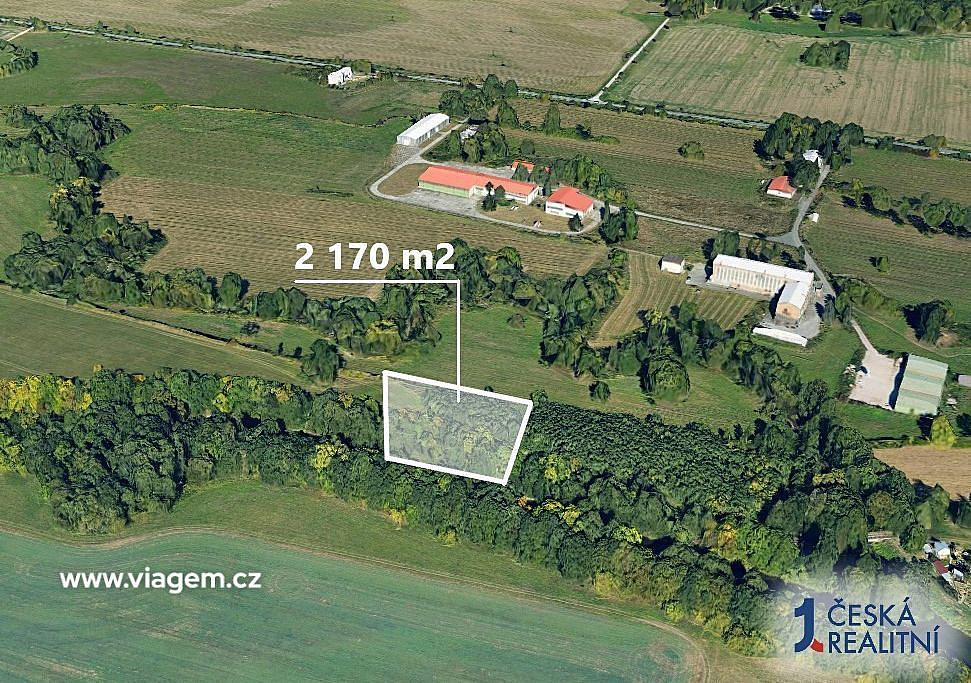 Prodej pole 2 170 m² – fotografie 2