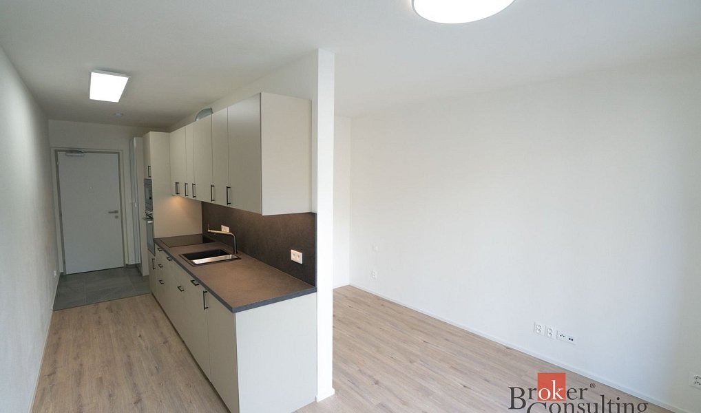 Pronájem bytu 1+kk 31 m², Plzeň – náhled fotky 4
