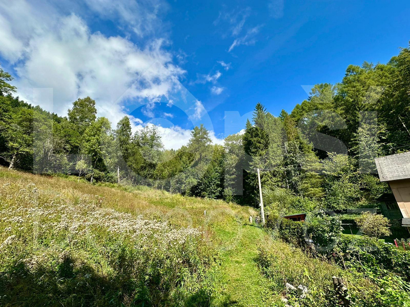 Prodej stavebního pozemku 1 379 m² – fotografie 5