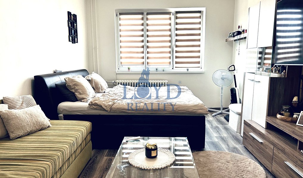 Prodej bytu 1+1 36 m², Karlovy Vary – náhled fotky 2