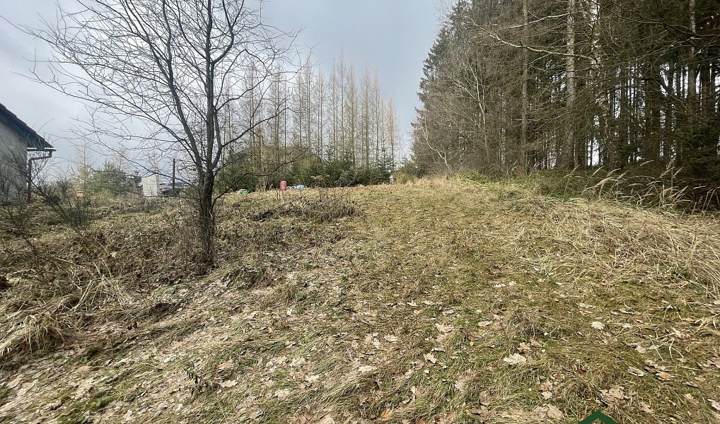 Prodej stavebního pozemku 1 753 m², Gruna – náhled fotky 4