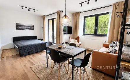Pronájem bytu 1+kk 33 m², Černý Důl, okres Trutnov