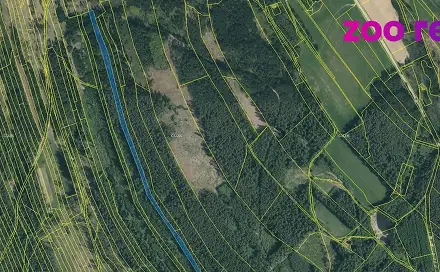 Prodej lesa 4 056 m², Deštná