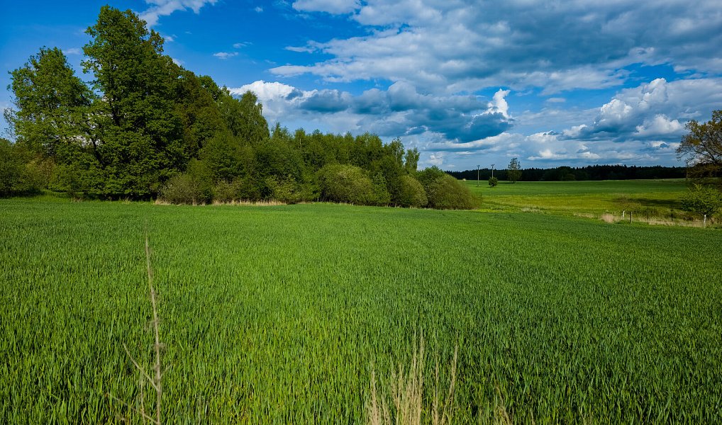 Prodej stavebního pozemku 10 262 m², Jindřichův Hradec – náhled fotky 6