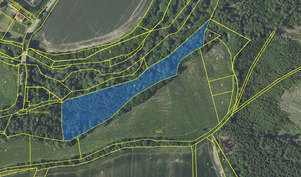 Prodej pozemku 23 891 m², Louňovice pod Blaníkem – náhled fotky 2