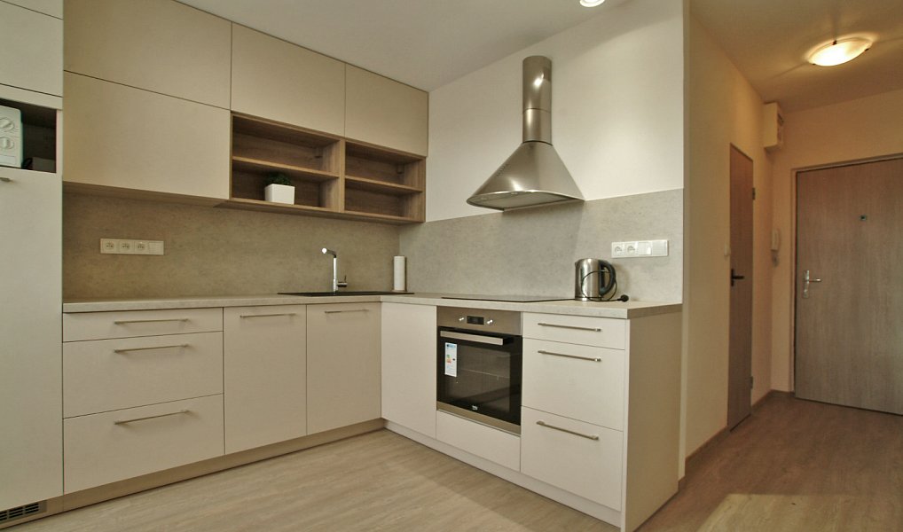 Pronájem bytu 1+1 42 m², Liberec – náhled fotky 12