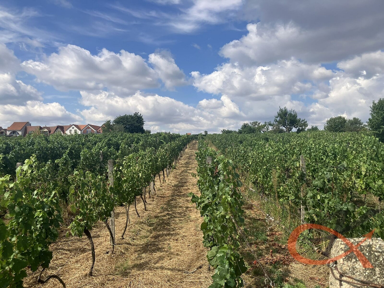 Prodej pozemku 1 366 m² – fotografie 2