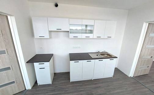 Pronájem bytu 3+1 63 m², U Věžových domů, Most