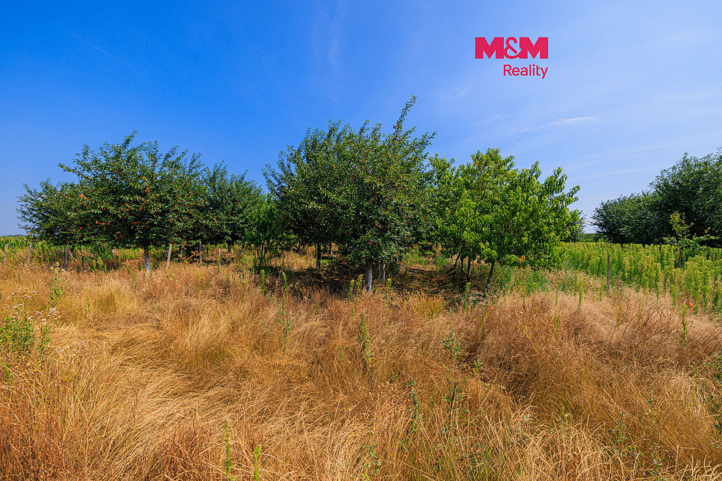 Prodej pole 12 442 m²