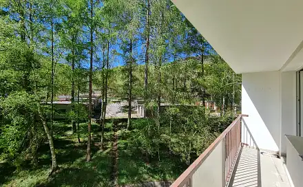 Prodej bytu 2+1 58 m², Hrdlovská, Osek, okres Teplice