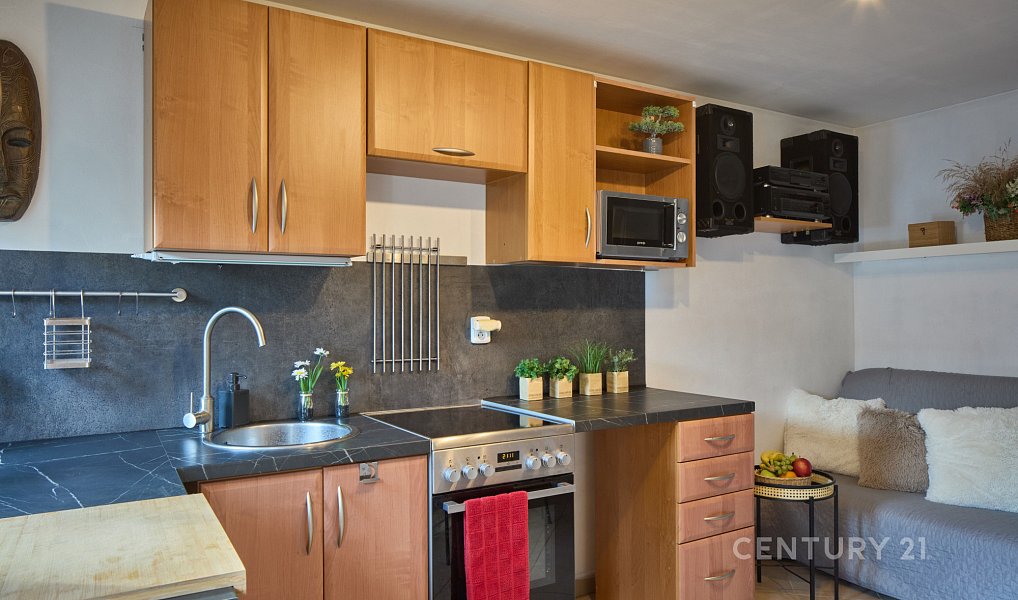 Prodej domu 260 m² s pozemkem 457 m², Ladná – náhled fotky 37