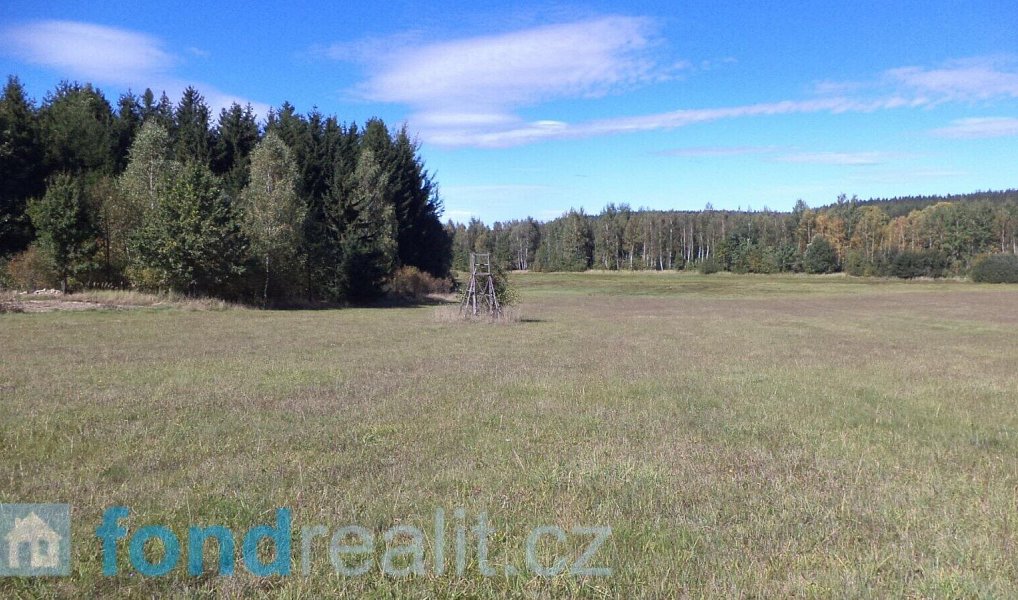 Prodej pozemku 8 516 m², Nová Bystřice – náhled fotky 3