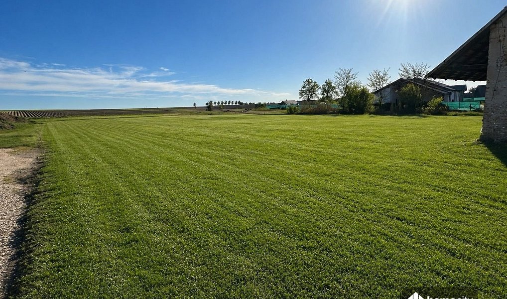 Prodej stavebního pozemku 3 091 m², Horní Ředice – náhled fotky 3