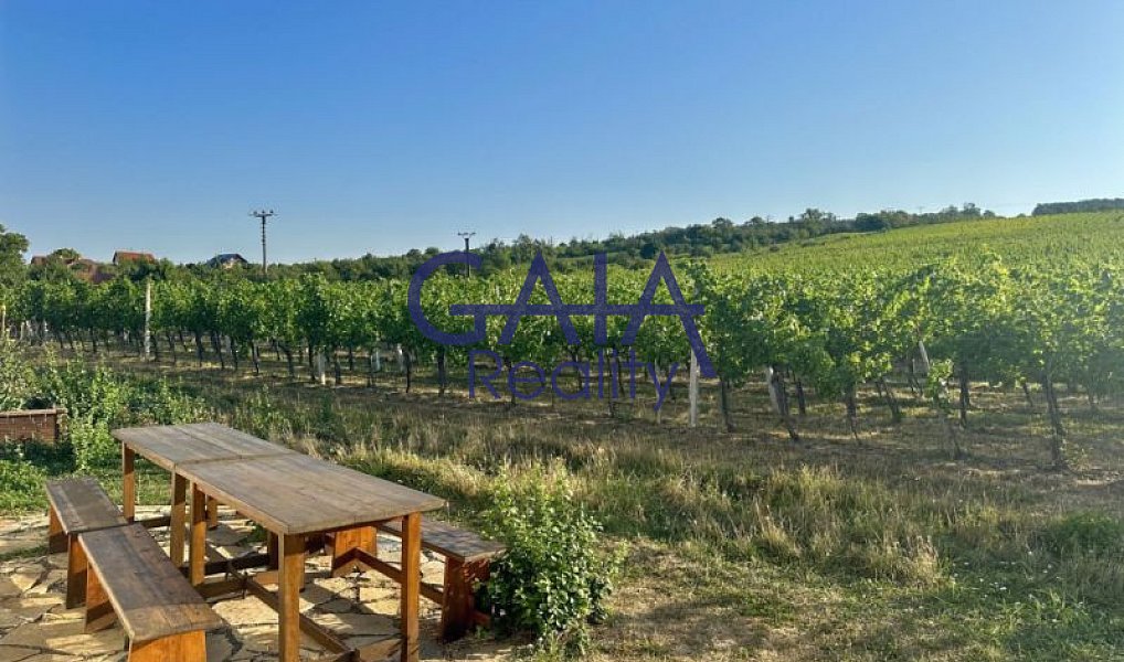 Prodej pozemku, 934 m², Hodonín, Blatnice pod Svatým Antonínkem