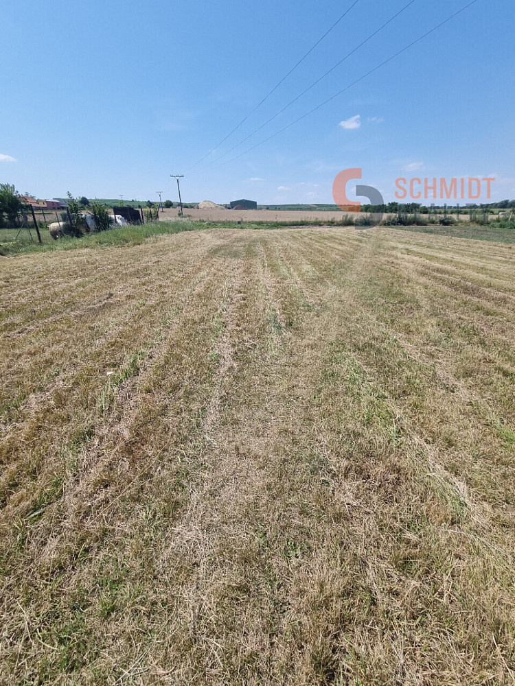 Prodej komerčního pozemku 1 550 m² – fotografie 5