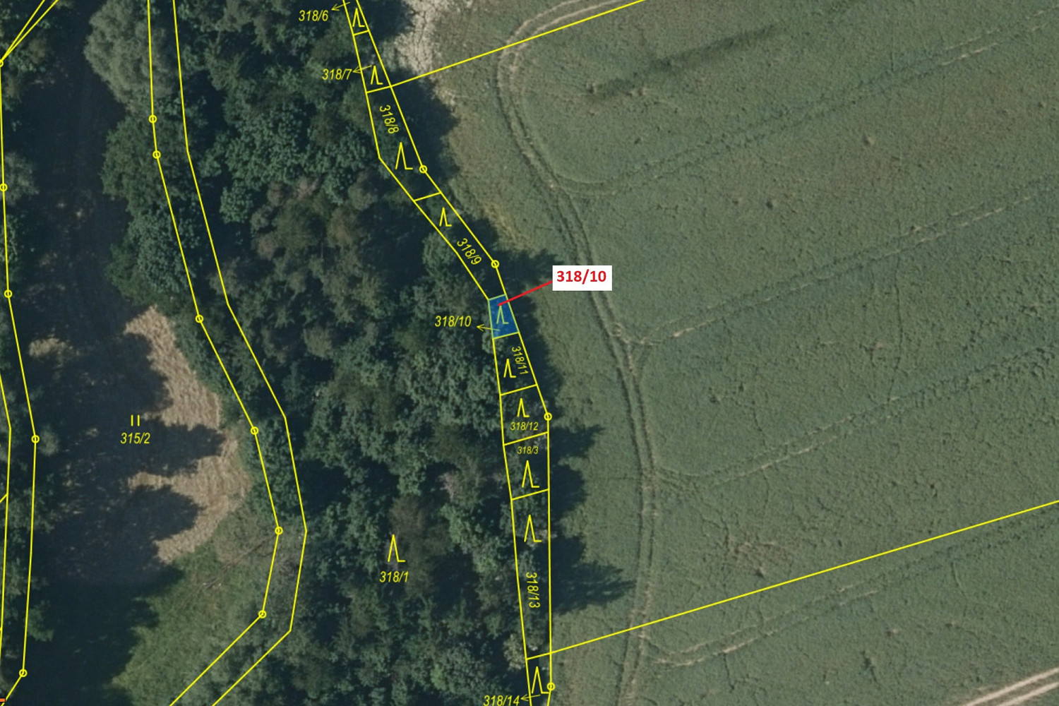 Fotka 2 z 3