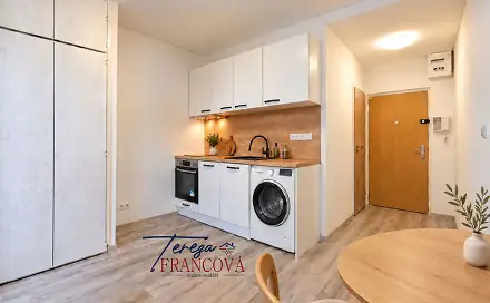 Pronájem bytu 1+1 34 m²
