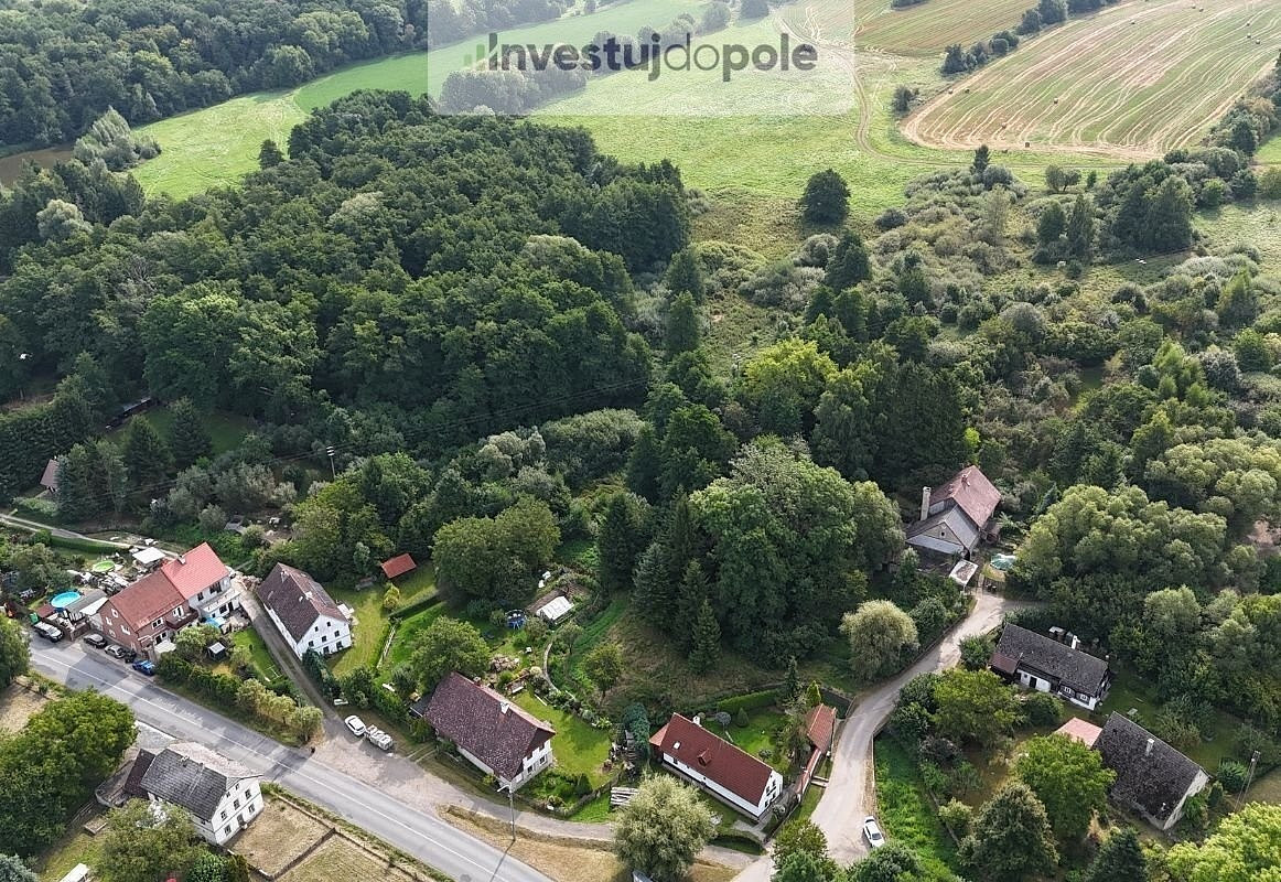Prodej louky 21 884 m² – fotografie 3