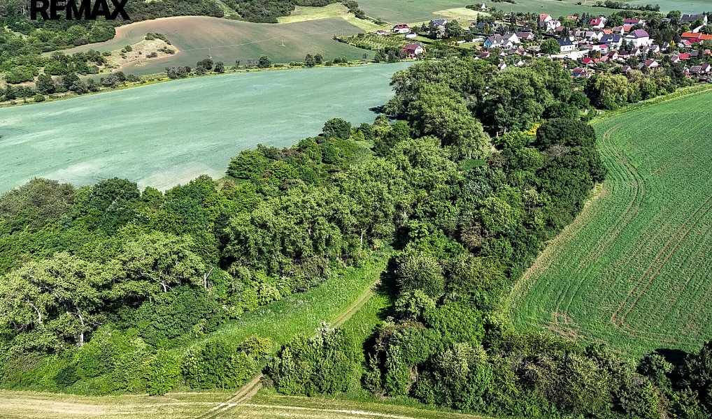 Prodej lesa 5 841 m², Skršín – náhled fotky 8