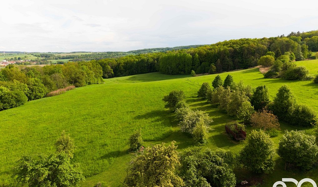 Prodej domu 500 m² s pozemkem 110 036 m², Kravaře – náhled fotky 23