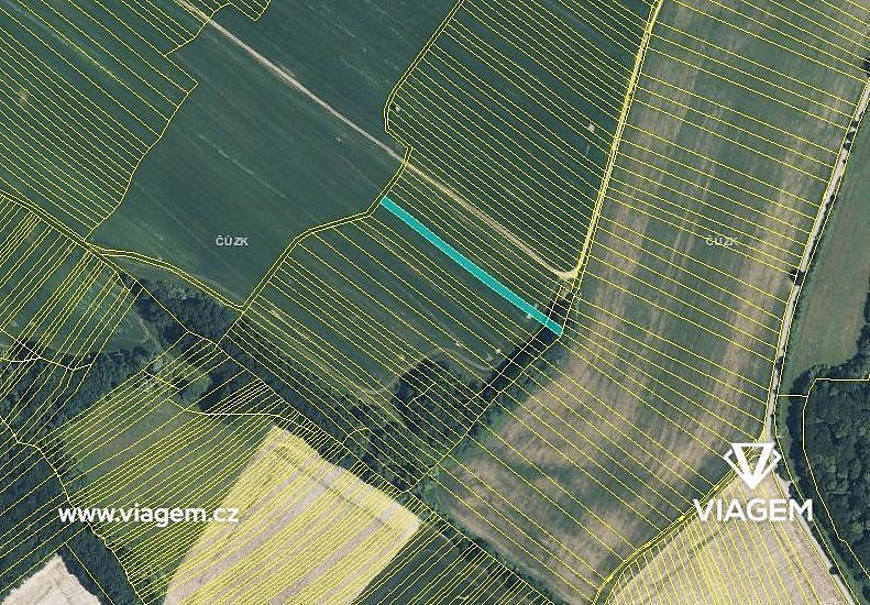 Prodej pole 446 m² – fotografie 3