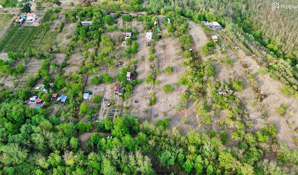 Prodej zahrady 985 m², Dolní Kounice – náhled fotky 4
