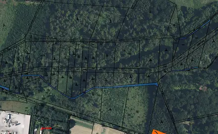 Prodej lesa 85 m², Bakov nad Jizerou, okres Mladá Boleslav