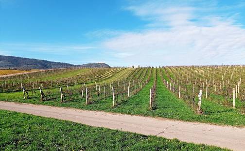 Prodej pozemku 9 794 m², Pavlov, okres Břeclav