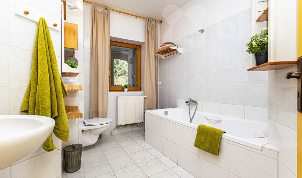 Prodej domu 250 m² s pozemkem 11 733 m², Kolinec – náhled fotky 33