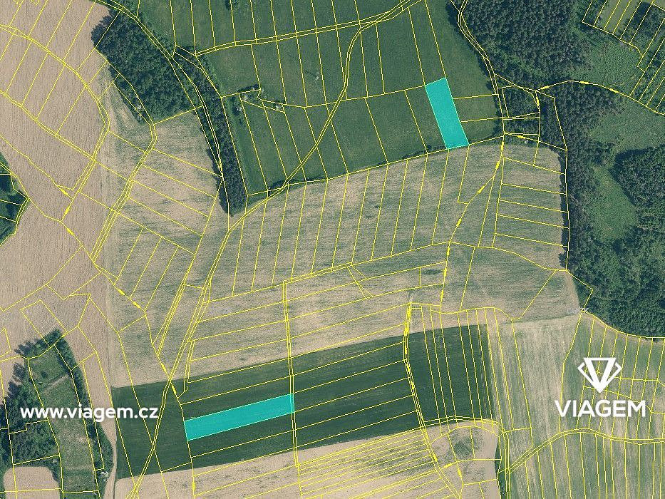 Prodej pole 4 247 m² – fotografie 3