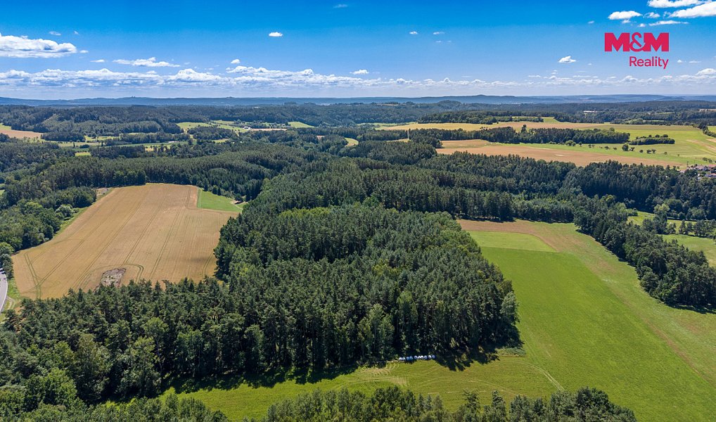 Prodej lesa 22 447 m², Bílá – náhled fotky 3