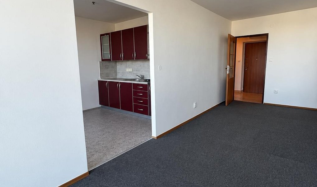 Pronájem bytu 1+1 43 m², Pardubice – náhled fotky 2