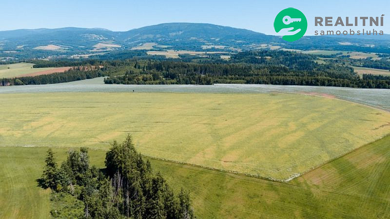 Prodej pole 40 000 m² – fotografie 3