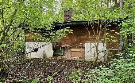 Prodej lesa 373 m², Štíty, okres Šumperk