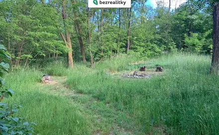 Ostatní